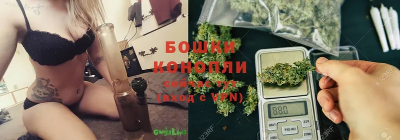 Каннабис OG Kush  Истра 